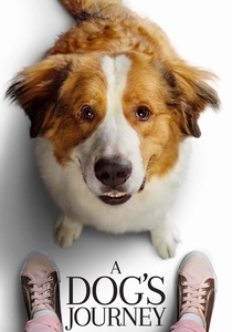 Un chien pour la vie (2019)