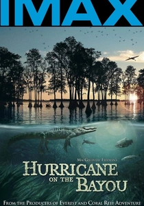 La Tempête de la Décennie (2006)