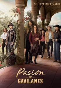 Pasión de Gavilanes (2003)