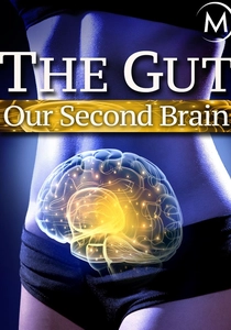 The Gut: Our Second Brain (2014)