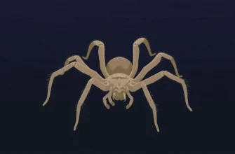 Les Meilleurs Thrillers avec des Tarantules