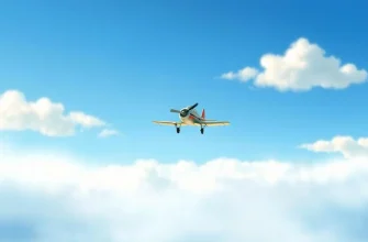 Films Mélodramatiques sur des Catastrophes Aériennes