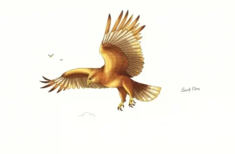 Films Soviétiques sur les Faucons