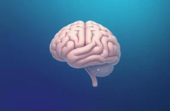 Films de science-fiction sur le cerveau