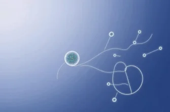 Documentaires sur l'intrication quantique