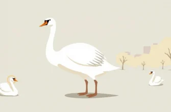 Les meilleures comédies sur les cygnes