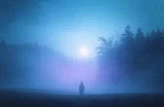 10 Œuvres Similaires au Film Oxala