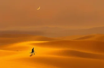 Découvrez 10 œuvres similaires à A Desert