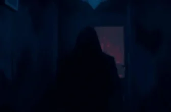 10 Films et séries similaires à Akai